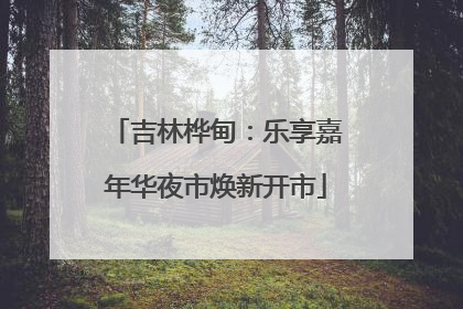 吉林桦甸：乐享嘉年华夜市焕新开市