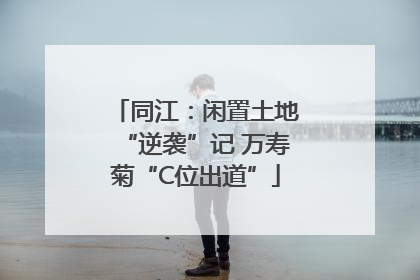 同江：闲置土地“逆袭”记 万寿菊“C位出道”