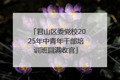 君山区委党校2025年中青年干部培训班圆满收官