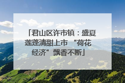 君山区许市镇：盛夏莲蓬清甜上市 “荷花经济”飘香不断
