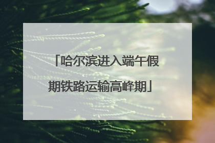 哈尔滨进入端午假期铁路运输高峰期
