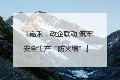 嘉禾：政企联动 筑牢安全生产“防火墙”