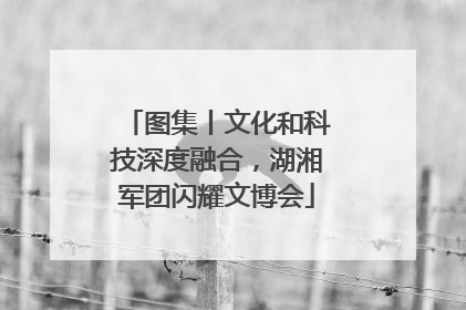 图集丨文化和科技深度融合，湖湘军团闪耀文博会