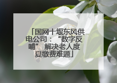 国网十堰东风供电公司：“数字反哺” 解决老人度夏缴费难题