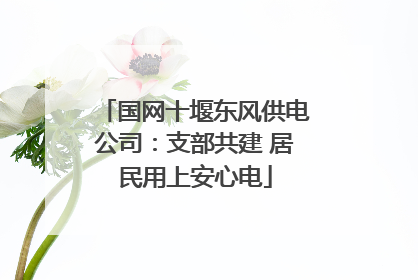 国网十堰东风供电公司：支部共建 居民用上安心电