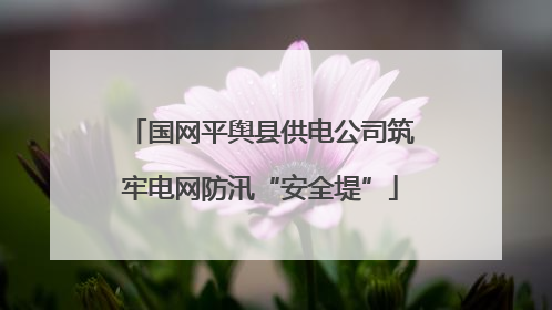 国网平舆县供电公司筑牢电网防汛“安全堤”