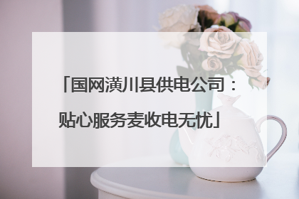国网潢川县供电公司：贴心服务麦收电无忧