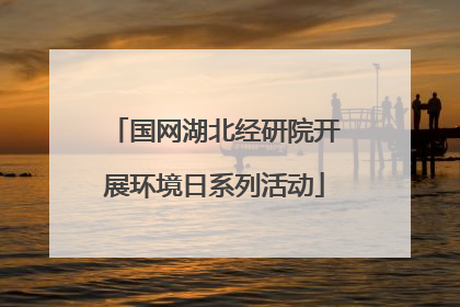 国网湖北经研院开展环境日系列活动