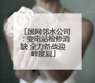 国网邻水公司：变电站检修消缺 全力备战迎峰度夏