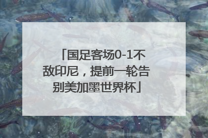 国足客场0-1不敌印尼，提前一轮告别美加墨世界杯