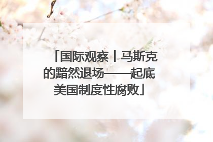 国际观察丨马斯克的黯然退场——起底美国制度性腐败