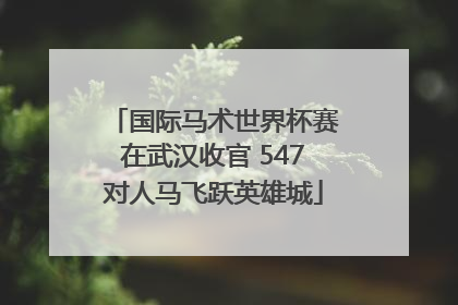 国际马术世界杯赛在武汉收官 547对人马飞跃英雄城