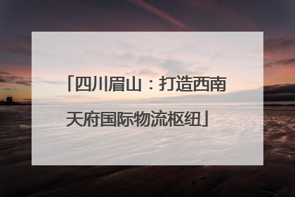 四川眉山：打造西南天府国际物流枢纽