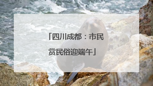 四川成都：市民赏民俗迎端午