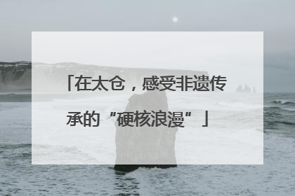 在太仓，感受非遗传承的“硬核浪漫”