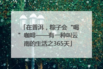 在普洱，粽子会“喝”咖啡——有一种叫云南的生活之365天