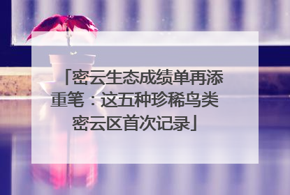 密云生态成绩单再添重笔：这五种珍稀鸟类密云区首次记录