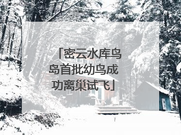 密云水库鸟岛首批幼鸟成功离巢试飞