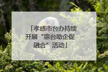 孝感市台办持续开展“惠台助企促融合”活动
