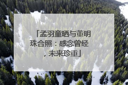 孟羽童晒与董明珠合照：感念曾经，未来珍重