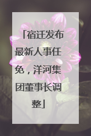 宿迁发布最新人事任免，洋河集团董事长调整