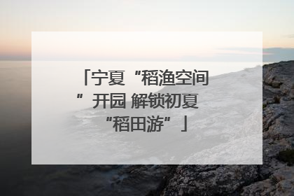 宁夏“稻渔空间”开园 解锁初夏“稻田游”