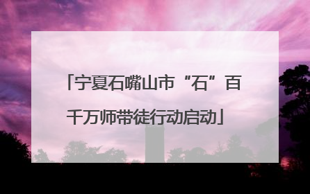 宁夏石嘴山市“石”百千万师带徒行动启动