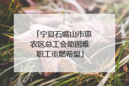 宁夏石嘴山市惠农区总工会助困难职工重燃希望