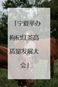 宁夏举办枸杞红茶高质量发展大会
