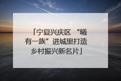 宁夏兴庆区 “曦有一族”进城里打造乡村振兴新名片
