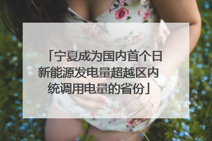 宁夏成为国内首个日新能源发电量超越区内统调用电量的省份