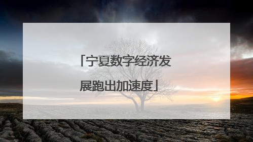 宁夏数字经济发展跑出加速度