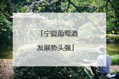 宁夏葡萄酒发展势头强