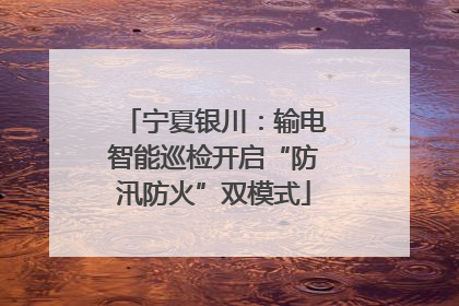 宁夏银川：输电智能巡检开启“防汛防火”双模式