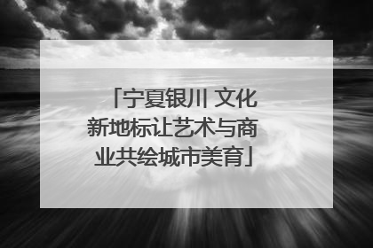 宁夏银川 文化新地标让艺术与商业共绘城市美育