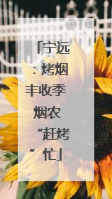 宁远：烤烟丰收季 烟农“赶烤”忙