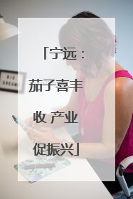 宁远：茄子喜丰收 产业促振兴
