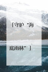 守护“海底雨林”