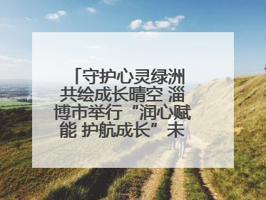 守护心灵绿洲 共绘成长晴空 淄博市举行“润心赋能 护航成长”未成年人心理健康宣传教育主题活动