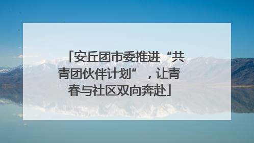 安丘团市委推进“共青团伙伴计划”，让青春与社区双向奔赴