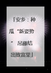 安乡：种瓜“新姿势” 吊藤结出致富果