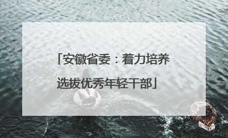 安徽省委：着力培养选拔优秀年轻干部