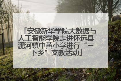 安徽新华学院大数据与人工智能学院走进怀远县淝河镇中黄小学进行“三下乡”支教活动