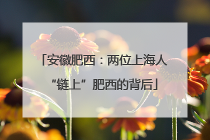 安徽肥西：两位上海人“链上”肥西的背后