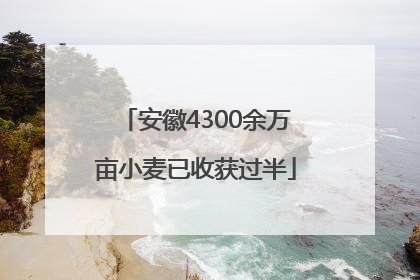 安徽4300余万亩小麦已收获过半