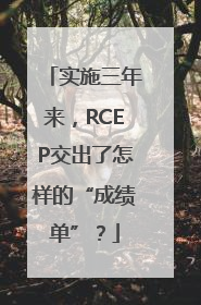 实施三年来，RCEP交出了怎样的“成绩单”？