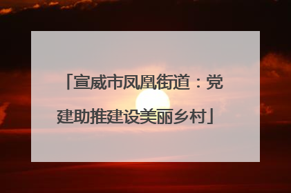宣威市凤凰街道：党建助推建设美丽乡村