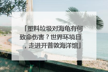 塑料垃圾对海龟有何致命伤害？世界环境日，走进开普敦海洋馆