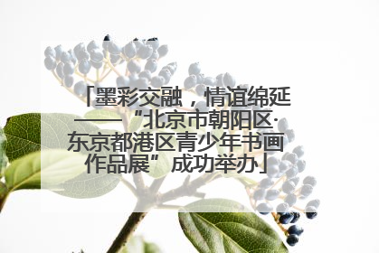 墨彩交融，情谊绵延——“北京市朝阳区·东京都港区青少年书画作品展”成功举办