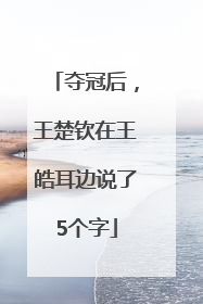 夺冠后，王楚钦在王皓耳边说了5个字